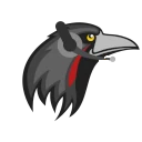 Huginn logo